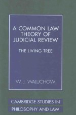A COMMON LAW THEPRY OF JUDICIAL REVIEW