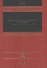 INTELLECTUAL PROPERTY IN THE NEW TECBNOLOGICAL AGE