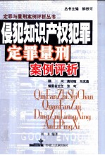 侵犯知识产权犯罪定罪量刑案例评析