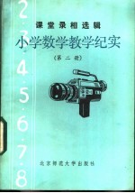 小学数学教学纪实 第2册