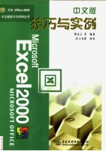 Excel 2000中文版技巧与实例