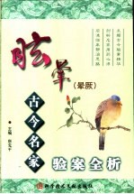眩晕 晕厥 古今名家验案全析