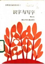 识字与写字