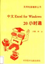 中文Excel for Windows 20小时通