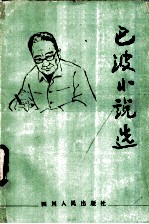 巴波小说选