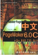 中文Pagemaker 6.0C实用详解