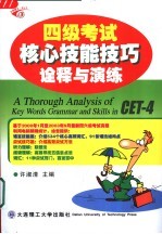 四级考试核心技能技巧诠释与演练