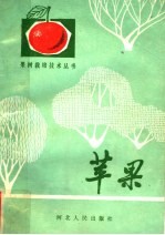 苹果