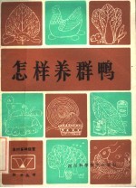 怎样养群鸭