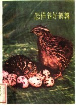 怎样养好鹌鹑