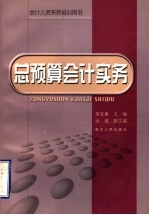 总预算会计实务