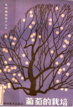 葡萄的栽培