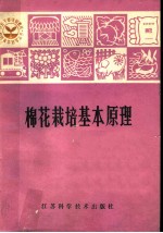 棉花栽培基本原理