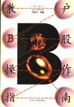 散户B股操作指南