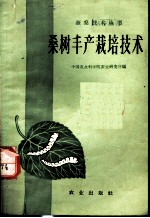 桑树丰产栽培技术