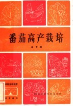 番茄高产栽培