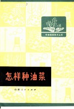 怎样种油菜