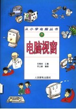 电脑视窗