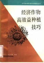 经济作物高效益种植技巧