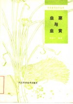 韭菜与韭黄