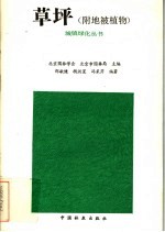 草坪