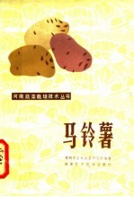 马铃薯