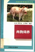 肉狗饲养