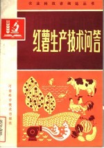 红薯生产技术问答