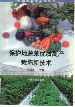 保护地蔬菜优质高产栽培新技术