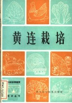 黄连栽培