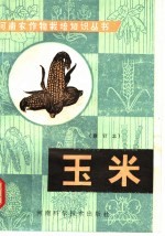 玉米 第2版