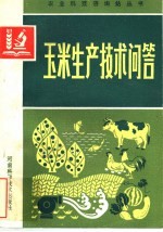 玉米生产技术问答