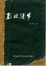 数林漫步