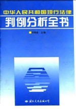 中华人民共和国现行法律判例分析全书