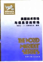 美国技术市场与信息咨询市场