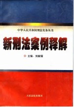新刑法案例释解