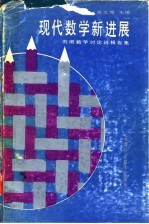 现代数学新进展 刘徽数学讨论班报告集