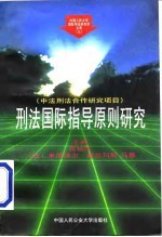 刑法国际指导原则研究