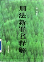 刑法新罪名释解