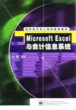 Microsoft Excel 与会计信息系统