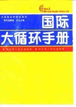 国际大循环