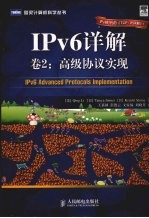 IPv6详解:卷2·高级协议实现
