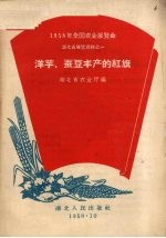 洋芋、蚕豆丰产的红旗