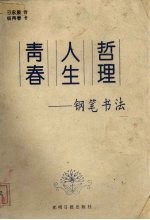 青春、人生、哲理 钢笔书法