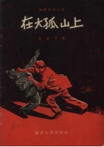 在大孤山上 防奸反特小说