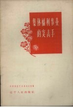 集体福利事业的突击手