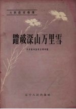 踏破深山万里雪