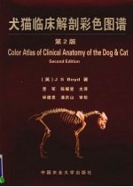 犬猫临床解剖彩色图谱 第2版