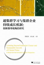 超集群学习与集群企业持续成长机制 创新搜寻视角的研究