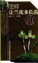怎样让兰花多长苗